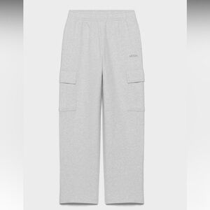 Aritzia TNA sweatpants